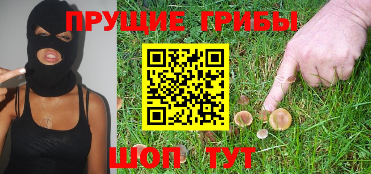 Галлюциногенные грибы GOLDEN TEACHER  Вход с VPN  Псилоцибиновые грибы мухоморы  Орехово-Зуево 