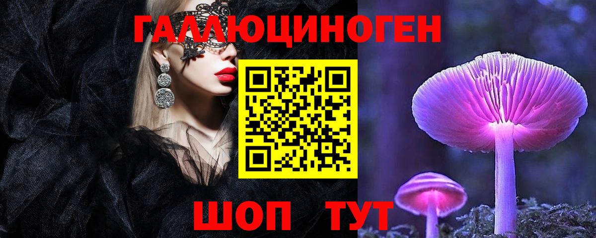 Псилоцибиновые грибы Psilocybine cubensis Орехово-Зуево